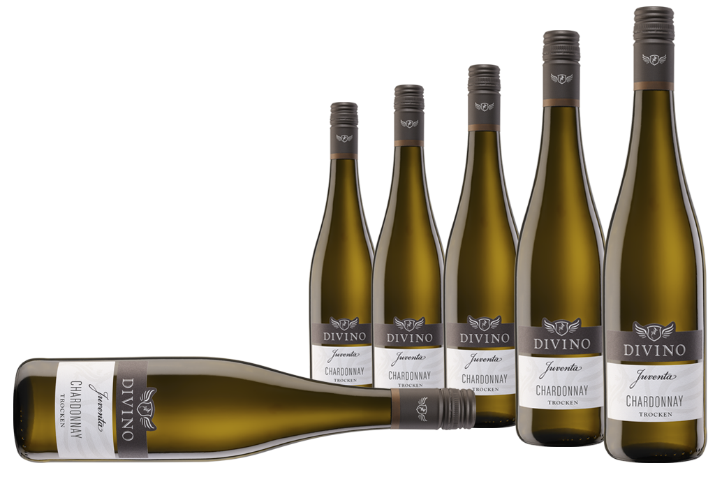 JUVENTA   Chardonnay - Empfehlung #3 im 6er-Karton