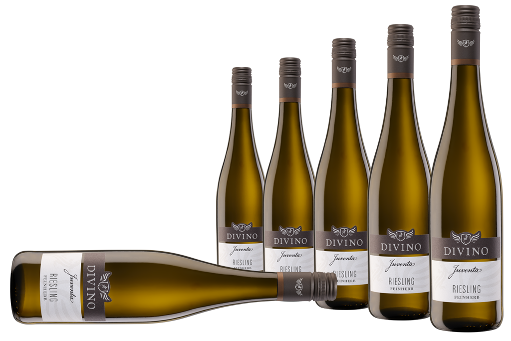 JUVENTA   Riesling - Empfehlung #4 im 6er-Karton