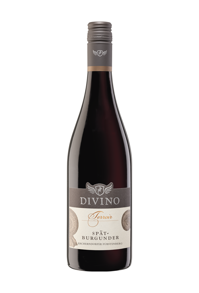 DIVINO Terroir  Escherndorfer Fürstenberg Spätburgunder 