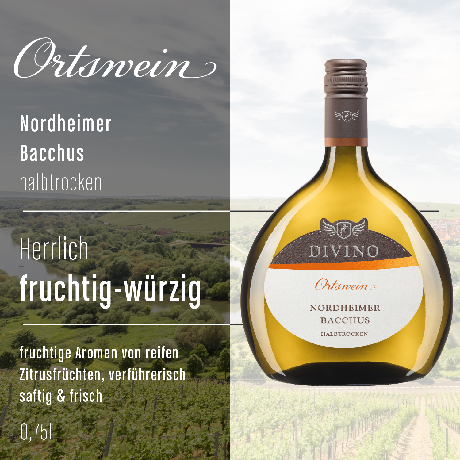 DIVINO Ortswein & DIVINO Franken    Probierpaket