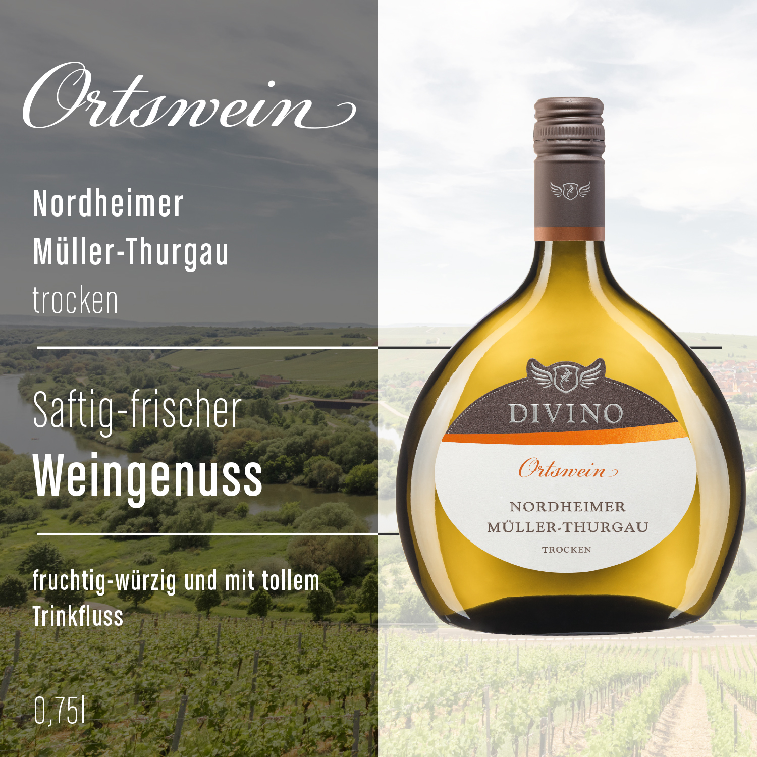 DIVINO Ortswein & DIVINO Franken    Probierpaket