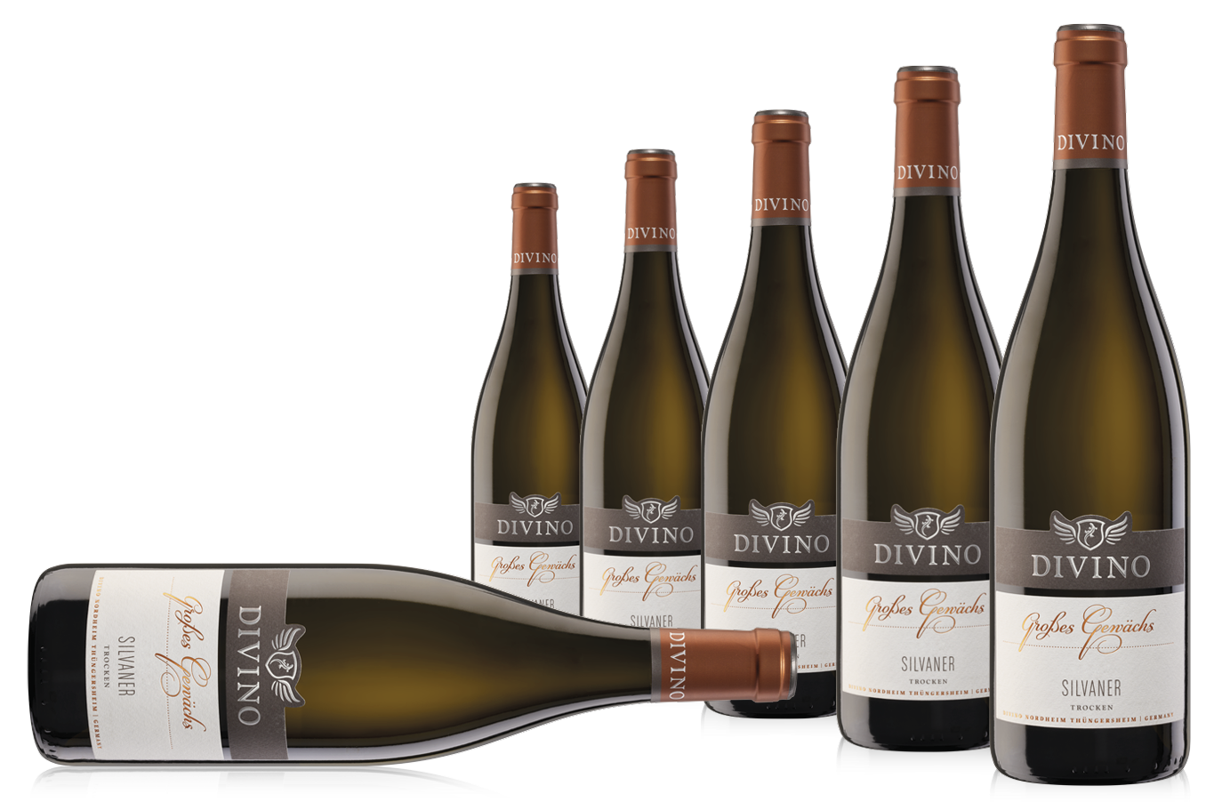 DIVINO Großes Gewächs   Silvaner - Empfehlung #3 im 6er-Karton