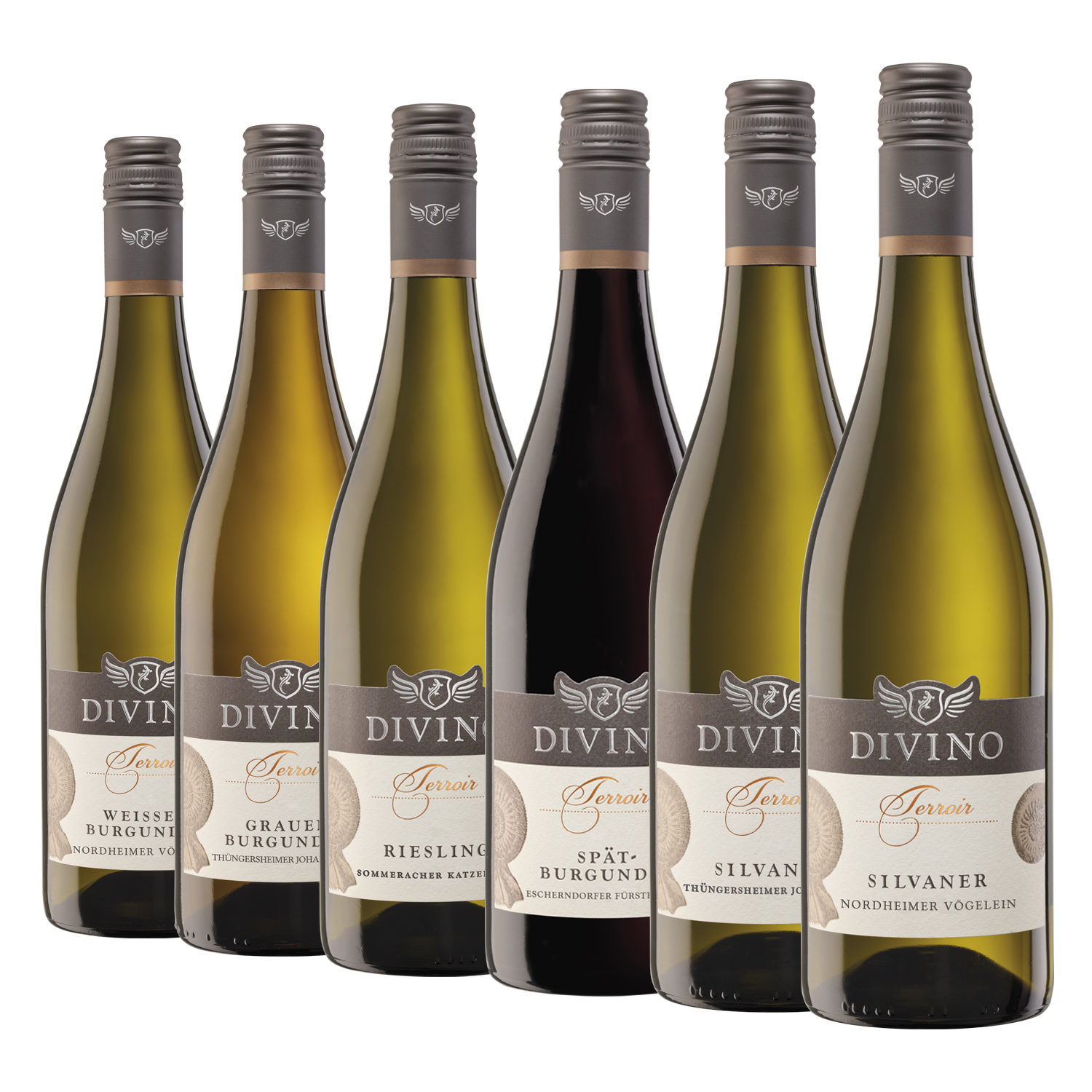 DIVINO Terroir    Probierpaket