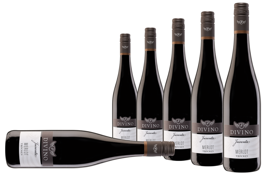 JUVENTA   Merlot - Empfehlung #7 im 6er-Karton