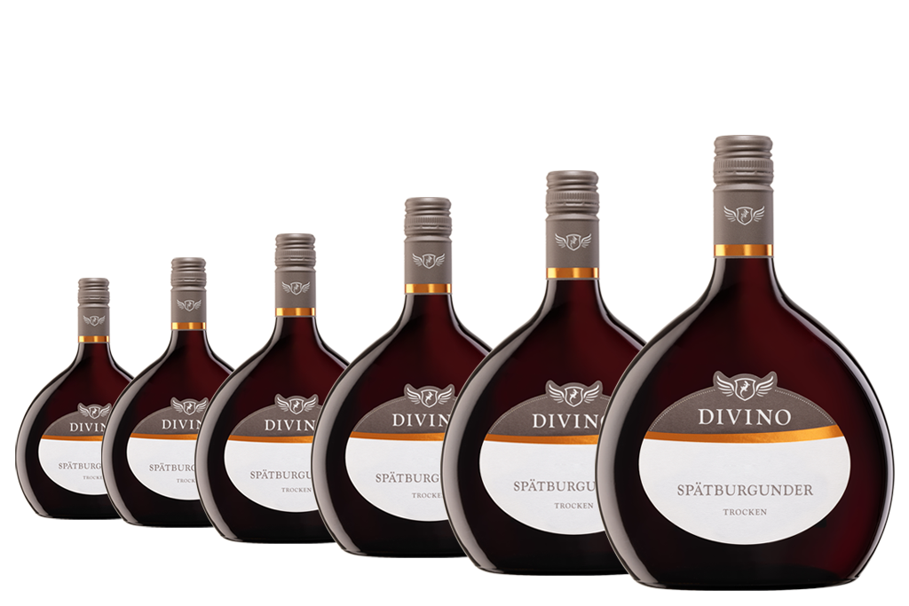 DIVINO Franken   Spätburgunder - Empfehlung #8 im 6er-Karton