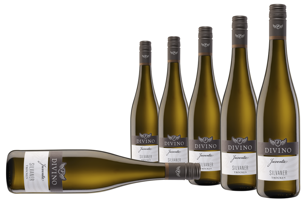 JUVENTA   Silvaner - Empfehlung #4 im 6-er Karton