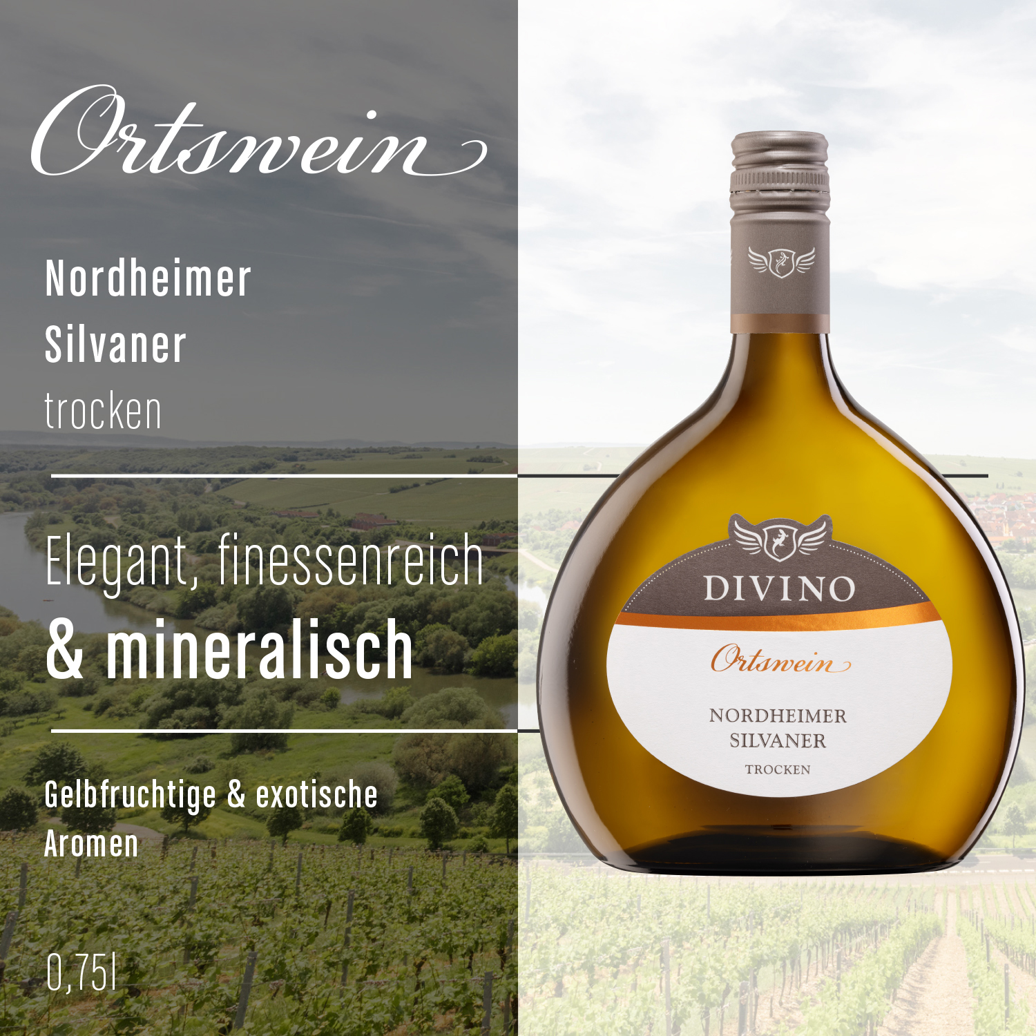 DIVINO Ortswein & DIVINO Franken    Probierpaket