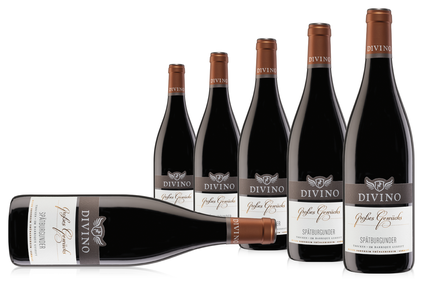 DIVINO Großes Gewächs   Pinot Noir - Empfehlung #2 im 6er-Karton