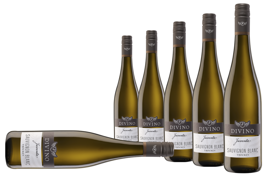 JUVENTA   Sauvignon Blanc - Empfehlung #3 im 6-er Karton