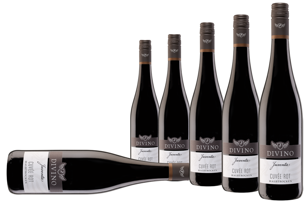 JUVENTA   Cuvee rot - Empfehlung #10 im 6er-Karton