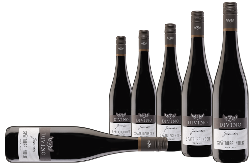 JUVENTA   Spätburgunder - Empfehlung #5 im 6er-Karton