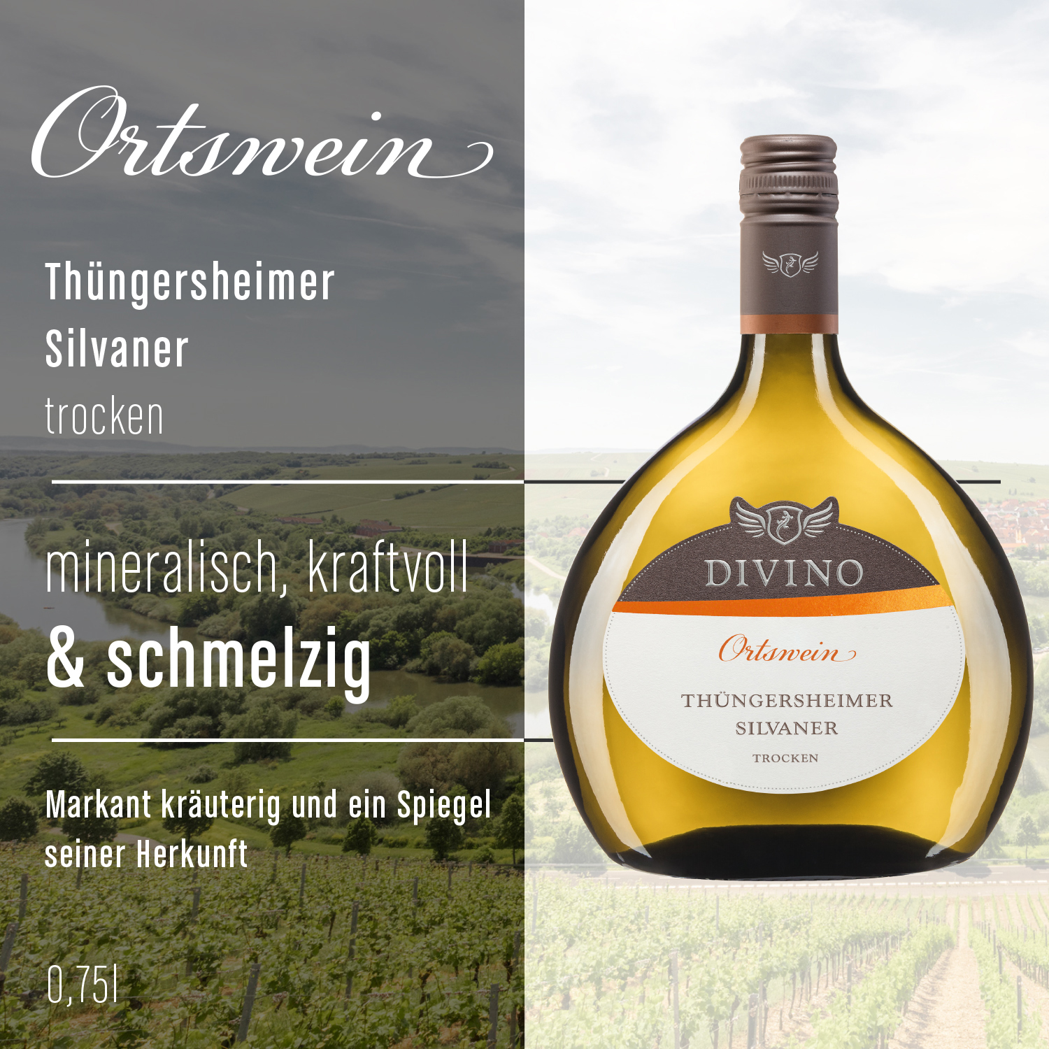 DIVINO Ortswein & DIVINO Franken    Probierpaket
