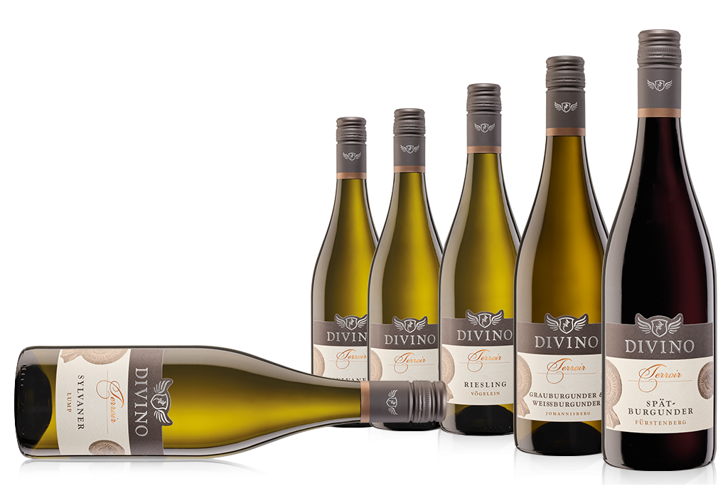 DIVINO Terroir    Probierpaket