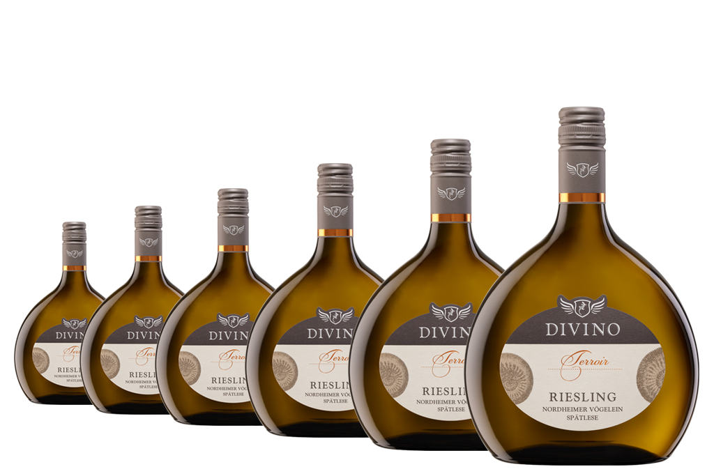DIVINO Terroir   Riesling - Empfehlung #8 im 6er-Karton