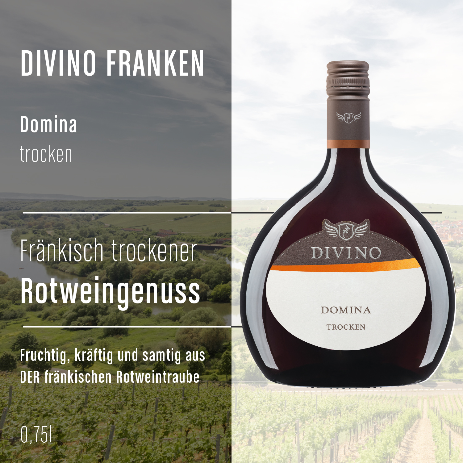DIVINO Ortswein & DIVINO Franken    Probierpaket
