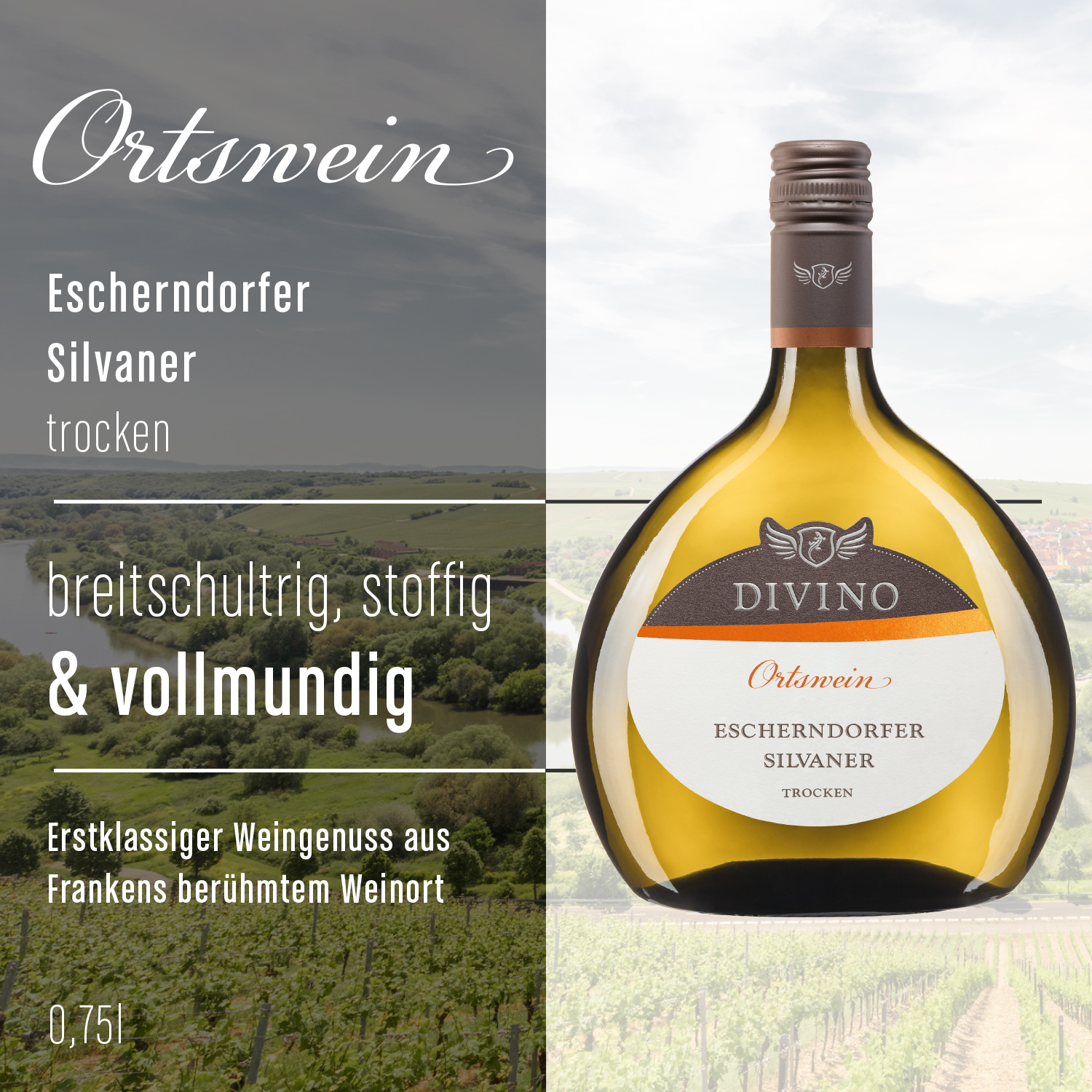 DIVINO Ortswein & DIVINO Franken    Probierpaket