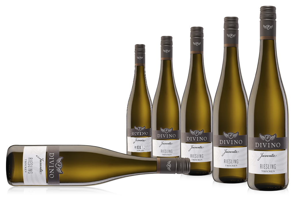 JUVENTA   Riesling - Empfehlung #3 im 6er-Karton